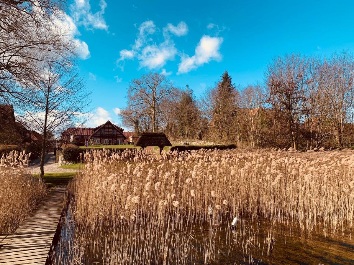 Fischhaus Am Schaalsee Zarrentin am Schaalsee Kültér fotó